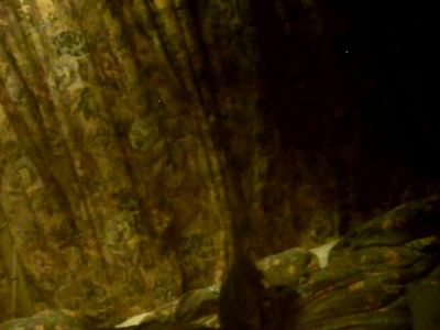 Big Ones Viewed Better Lighting