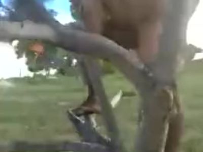 FIJIAN MONKEY STYLE