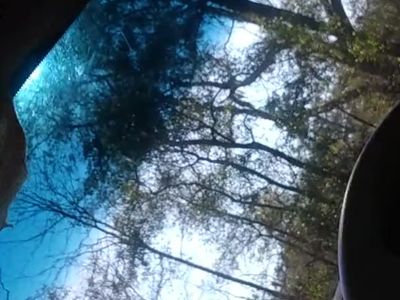 Doggy in public with ex fl river