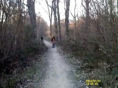walk in the wood of Sainte Apolline