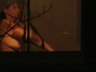 Window Voyeur