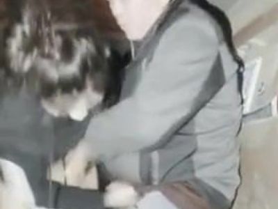 Field 3P direct seeding