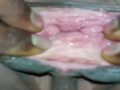 Desi Pussy Closeup.mp4