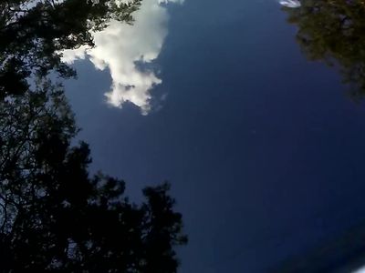 Park it and have FUN