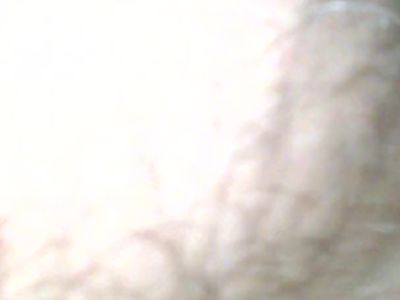 wife on all fours part 2