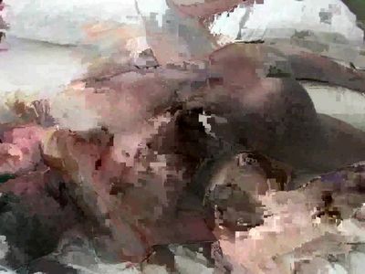 Henry cums inside Sandy