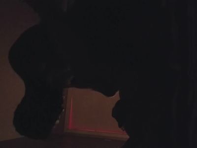 SilhouetteSex - Asian masseuse slobs on BBC and screams getting fucked