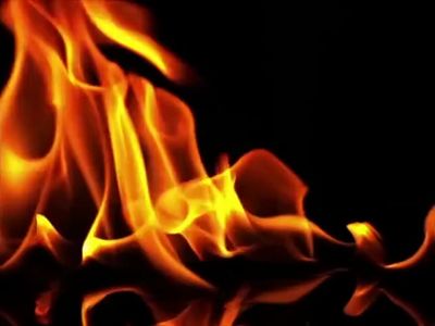 NEW 2018 Shower Scene