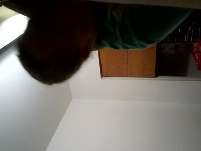 ex suckes my dick and didnt even notice the cam!