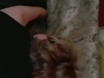 Ma blonde qui fourre avec son ex