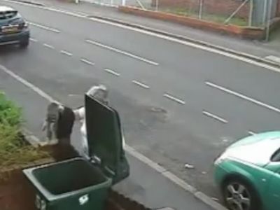 old lady throws away very nice kitty :(