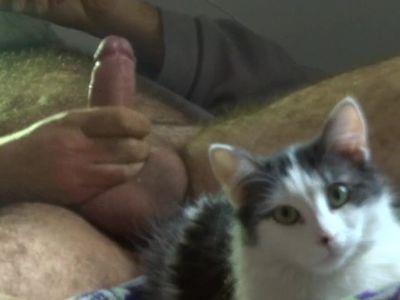 L'uccello e la micia