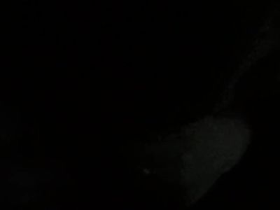 Quick head from my gfs best friend ..