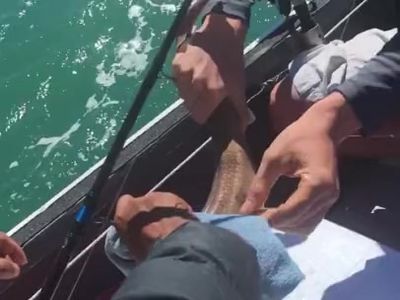 Just go fishing