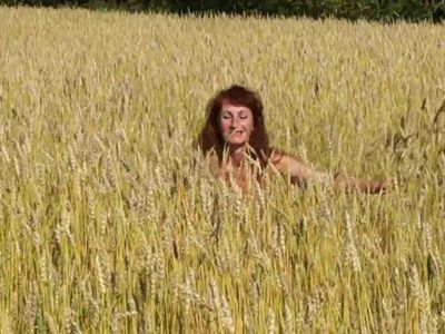 In the field of golden wheat