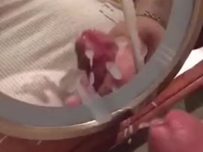 Glue Face Cumshot