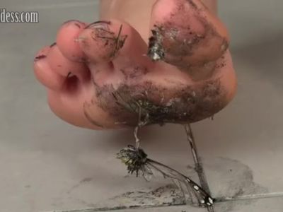 Buttlerfly Barefoot Crush